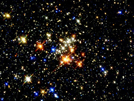 Per la serie "Le stelle e le stalle": le stelle (a sinistra) e le stalle (a destra).