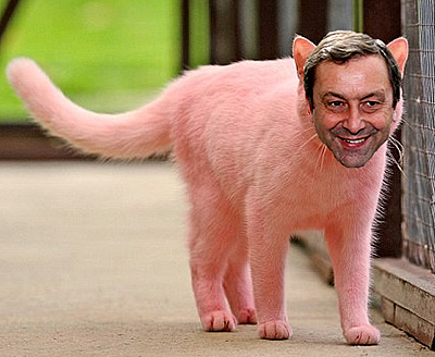 Per la serie "Gatti mammoni": il Profumo Francesco dopo un trattamento di pink washing israelo-anglo-americano.