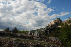 19. "Cervara di Roma".