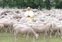 "Papa di Pecore?" (giovedì 29 aprile 2010)