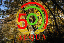 Cinquanta volte "Aequa"! - convegno per il 50° numero della rivista "Aequa" - Riofreddo, sabato 10 novembre 2012 - tutte le immagini cliccando qui!