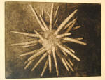 76.