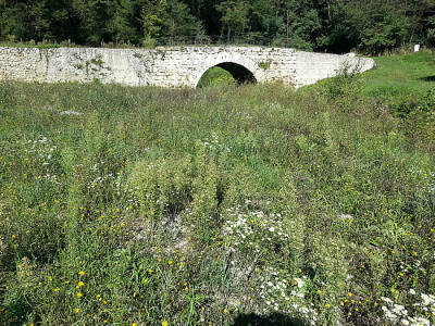 Il visitatore stenta a credere ai propri occhi, quando si rende conto che le poche pietre ancora visibili tra lerba e i cespugli son tutto ci che rimane del vasto e bel piazzale che, nelle intenzioni dei progettisti, doveva scenograficamente accompagnare il suo sguardo e i suoi passi fino al Ponte sullo sfondo.