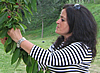 Nel 2014 muore improvvisamente Laura Piscini, carissima collega e collaboratrice di ScuolAnticoli.