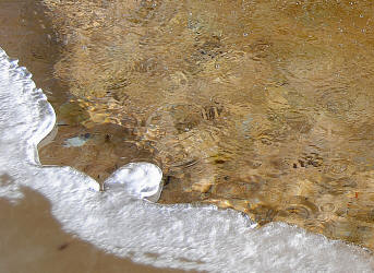 8.