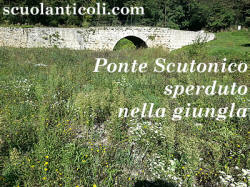 Ponte Scutonico sperduto nella giungla