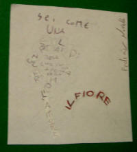 Federico, "Il Fiore"