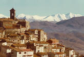 Vivaro Romano
