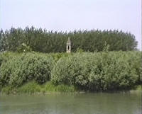 E non dimenticare di andare a rivederti anche nelle pagine dedicate alla Gita sul Delta del Po del maggio 1994!