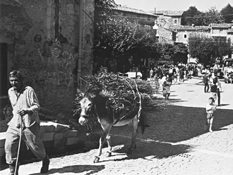 Vuoi vedere "Anticoli che non sparisce"? Clicca qui!