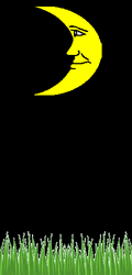 La Notte