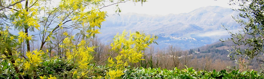 Primavera non pi troppo lontana... (Anticoli, sullo sfondo, vista dallazienda agricola Le Giare di Arsoli il 19 febbraio 2011)