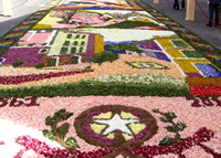 Il sito dell'Infiorata di Gerano