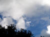 gi. 5-11-2009