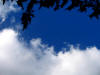 gi. 12-11-2009