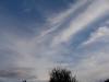 do. 29-11-2009