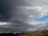 do. 29-11-2009